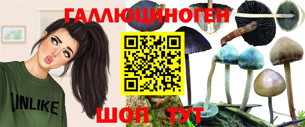 Бутират Волгоград
