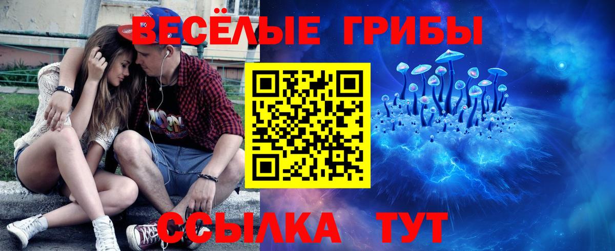 Галлюциногенные грибы Cubensis Волгоград